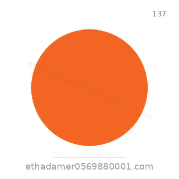 شاخصة المرور رقم 137